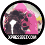 XpressBet.com
